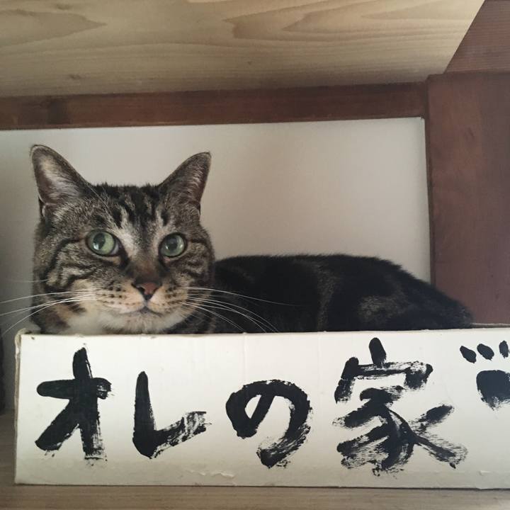 6ae30725 26ca 41ba b8d2 a09cffad40d2 1561161159113