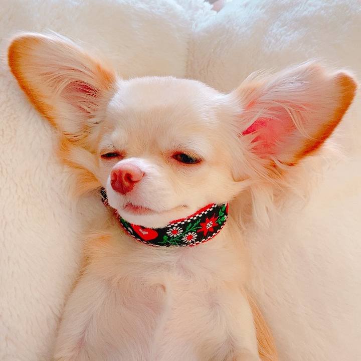 6ae37b17 46ce 4566 9d23 5c0547617e7d 1622946505191