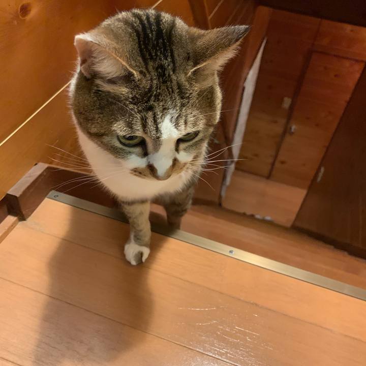 6ae38cf5 bed6 4763 8731 8c20181e7470 1553687678795