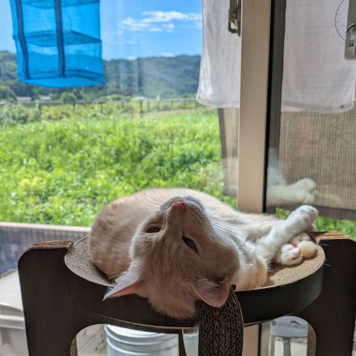 6ae38e11 2361 450b b3bd 5ed7040f89de 1689814597565