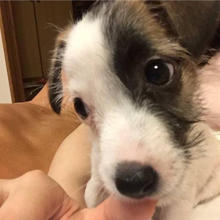 6ae3af99 41f0 4188 9f41 c3d17f3f1877 1752216807847