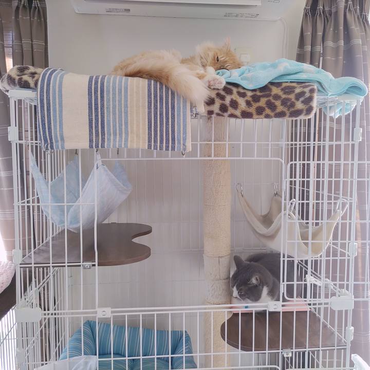 6ae3b112 fbd7 4379 afd5 c8278cfd81f1 1676437037255