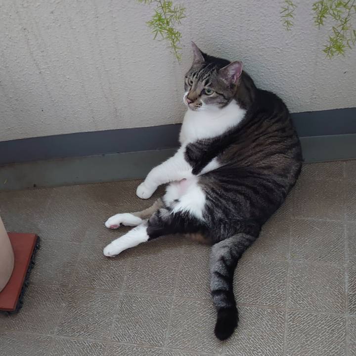 6ae3c406 60be 4cdd a690 1e3ed667864d 1692692184554