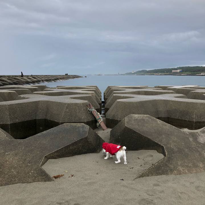 6ae3e17c 7ada 47d9 bcfd 9a1d5289e359 1593559834803