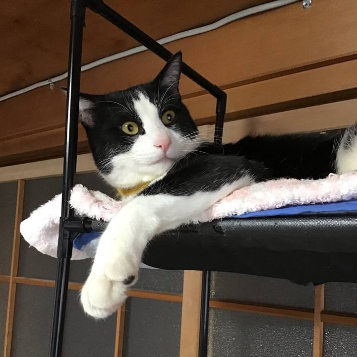 6ae5272b f882 4c74 8809 eb3feaee9695 1647827723114