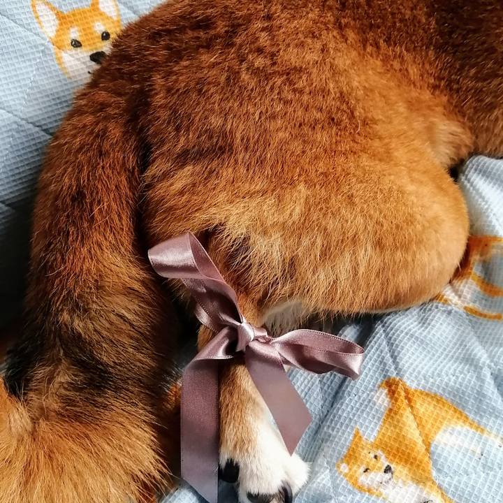 6ae53045 dbf8 4d7a 9b64 d7f1c8954081 1631930027310