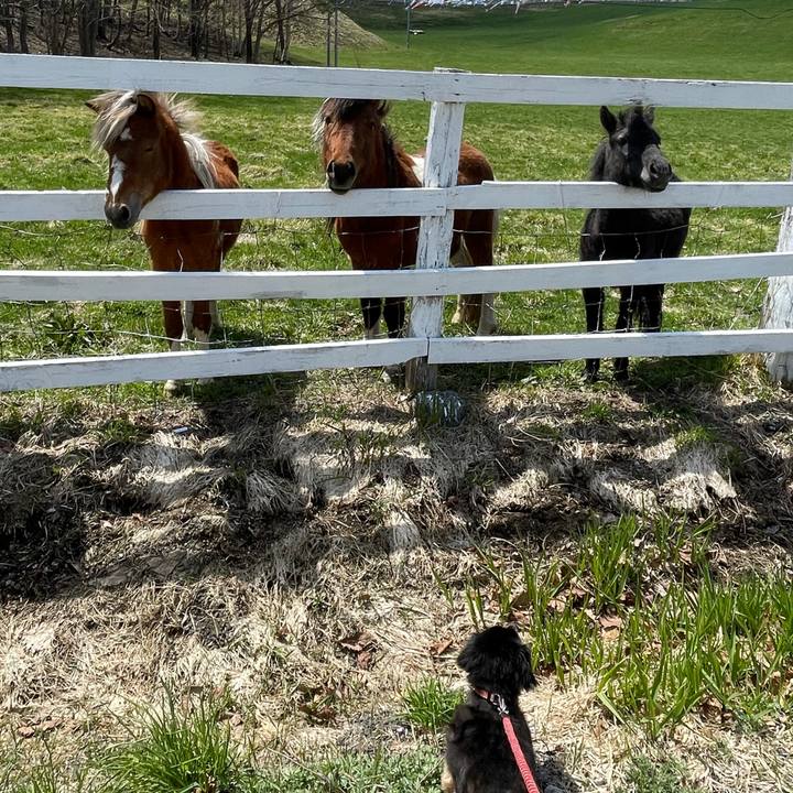 6ae541ff 51ec 4829 b5a6 90d6f9614d7c 1620095591702