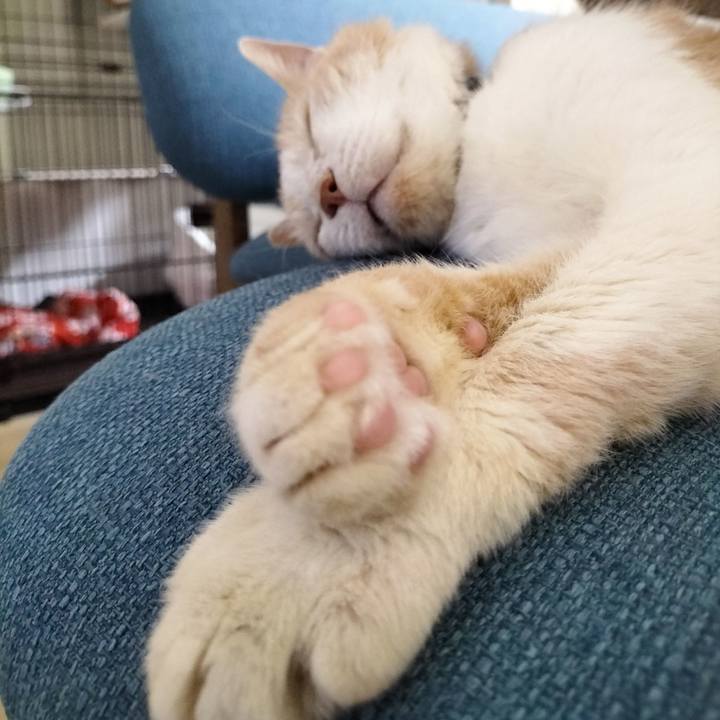 6ae567f3 6ca3 4bf0 b8d6 221ee38f59c5 1688217570268