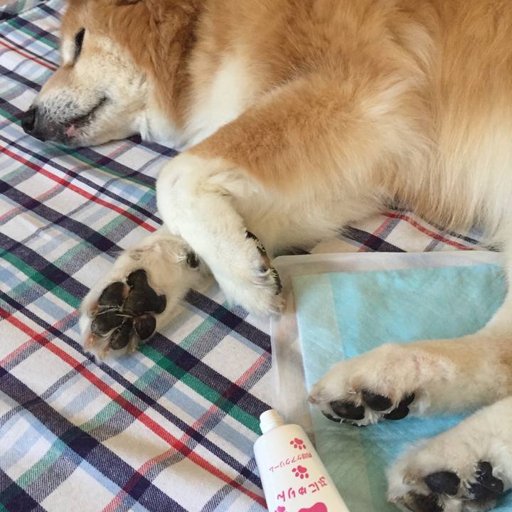 6ae57b4e ed11 464b 8102 0ae946ecf7d8 1580989206222