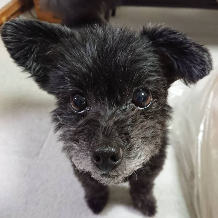 6ae58e05 1bcc 4a70 a2d6 b02ec1854a7a 1575891016166