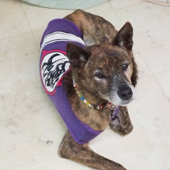 6ae58fd0 965a 44aa 8b26 2d03f158f712 1703408374702