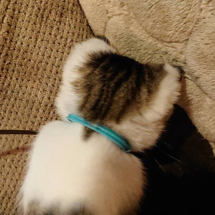 6ae5b6a8 f168 4a5e 8cac bed5cb22aa99 1543672439581