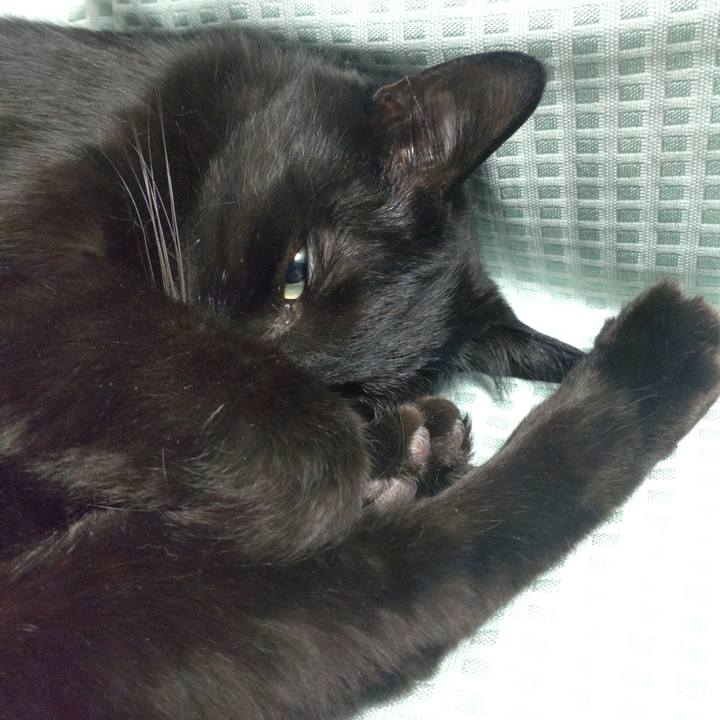 6ae5bd44 1a63 4748 9b19 1cbf65a86461 1710590325921