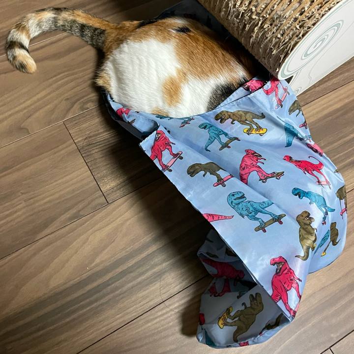 6ae5bf8e 4127 4d60 81c7 ed39b74254e1 1701336533939