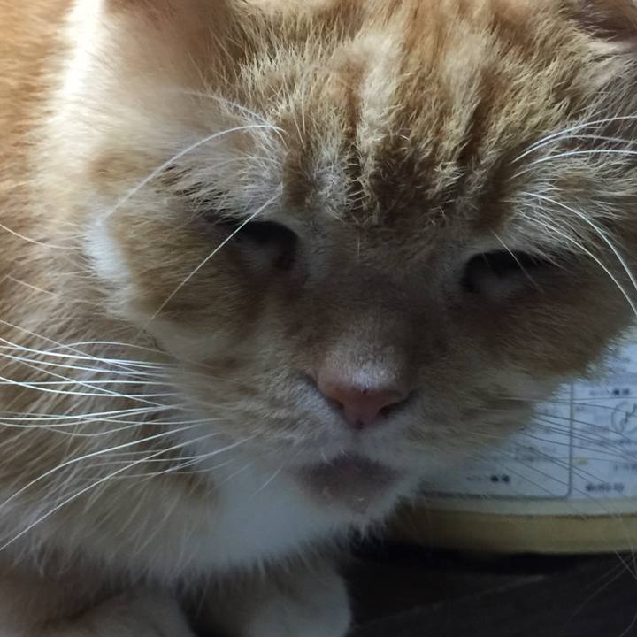 6ae629f5 b4c9 43c0 b191 1be15805ff5f 1575199934605