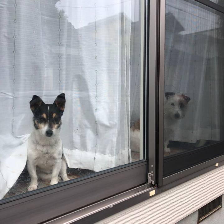 6ae66062 d952 4898 a96e 9460d361f3a3 1553731997126