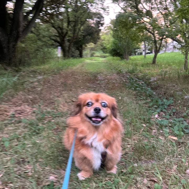 6ae668ea c599 4022 a159 574579a37451 1726866124257