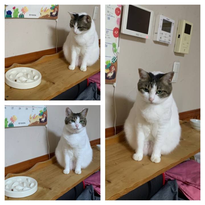 6ae6c4aa a832 4c2c a97b 0199b02bd74e 1662240966772