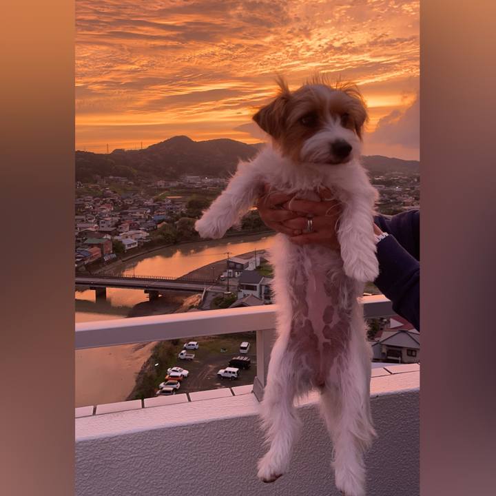 6ae6e0cb c0b2 44d1 88d2 5a56806e08c0 1775567462173