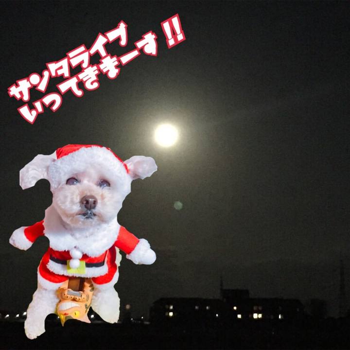 6ae706ab e69e 457f 9863 1a814bfdba97 1513346471856