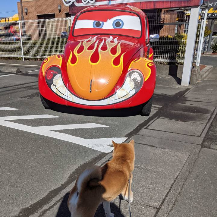 6ae70d46 f373 4ffc 8881 7f6d7f5c8b76 1611099181096