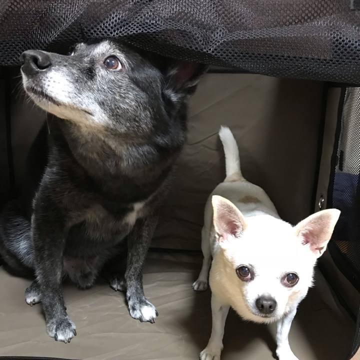 6ae73618 330b 40a0 a3ab 169843ccae75 1542892105479