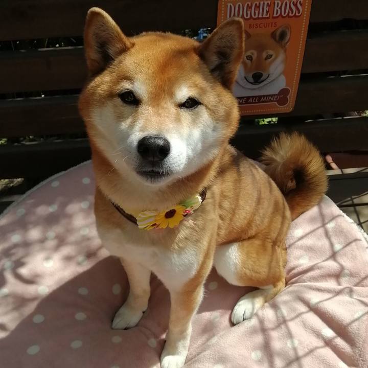 6ae74640 4d23 4b6d 9e7e 0acdacd58cd7 1648088222466