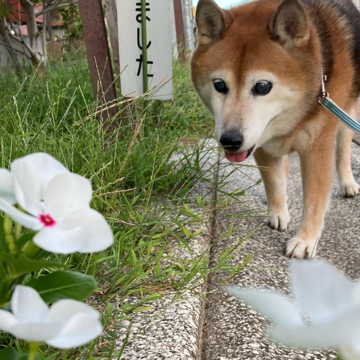 6ae75154 236e 4b65 a0c7 fc9081410692 1726390143367