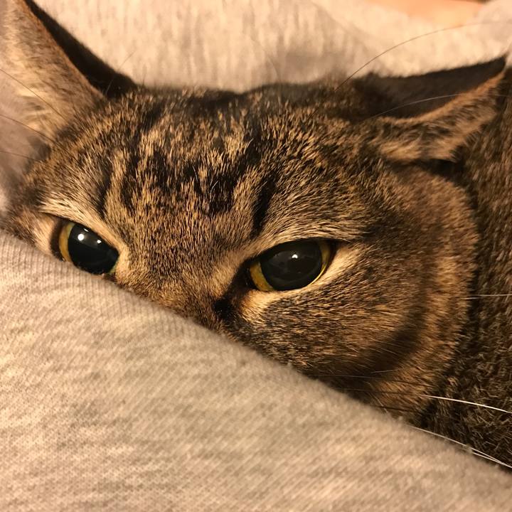 6ae75c5d ea29 45a0 b158 566b58b46244 1547932516496