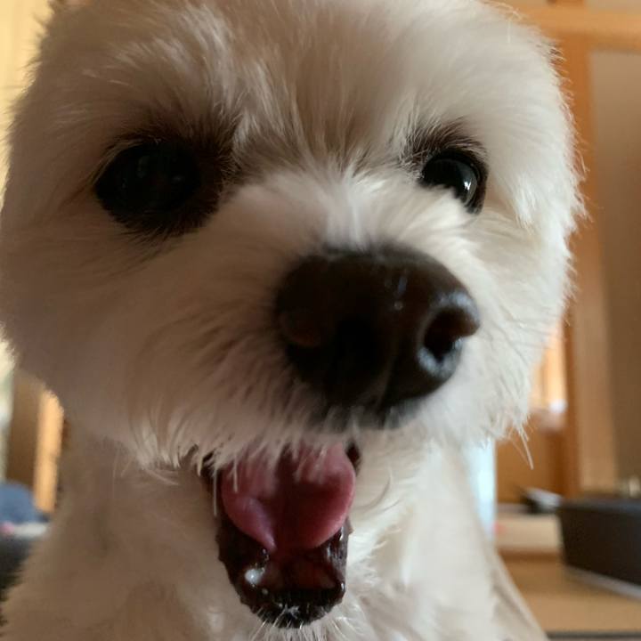 6ae7a319 53c7 4a05 8bc7 49e1aadcbabe 1633345335571