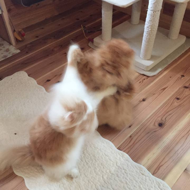 6ae7b259 e3e0 49a4 a1ef 432f49a796e1 1570135024717