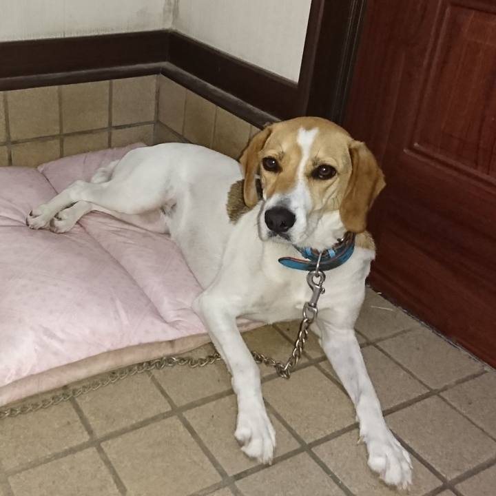 6ae7b772 0499 4699 acdb aa7b41e4ab7f 1562664523970