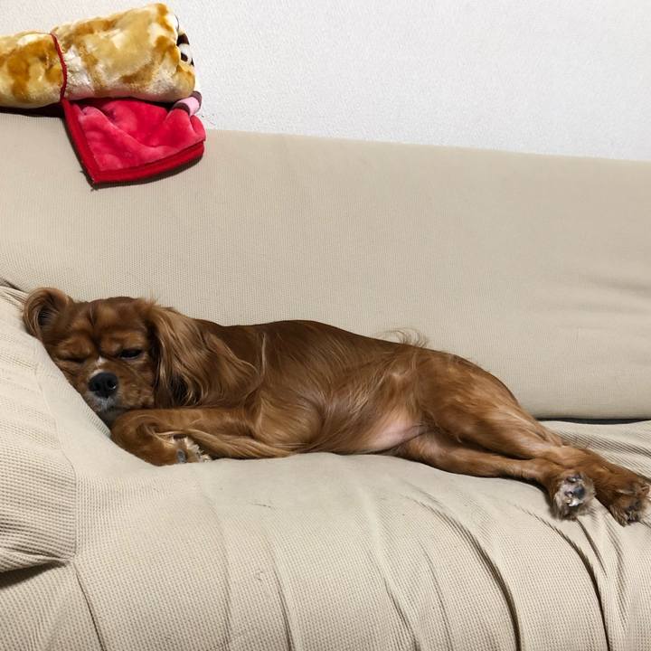 6ae7bd86 5119 41ac 8a12 a6622afa47b2 1567087693795