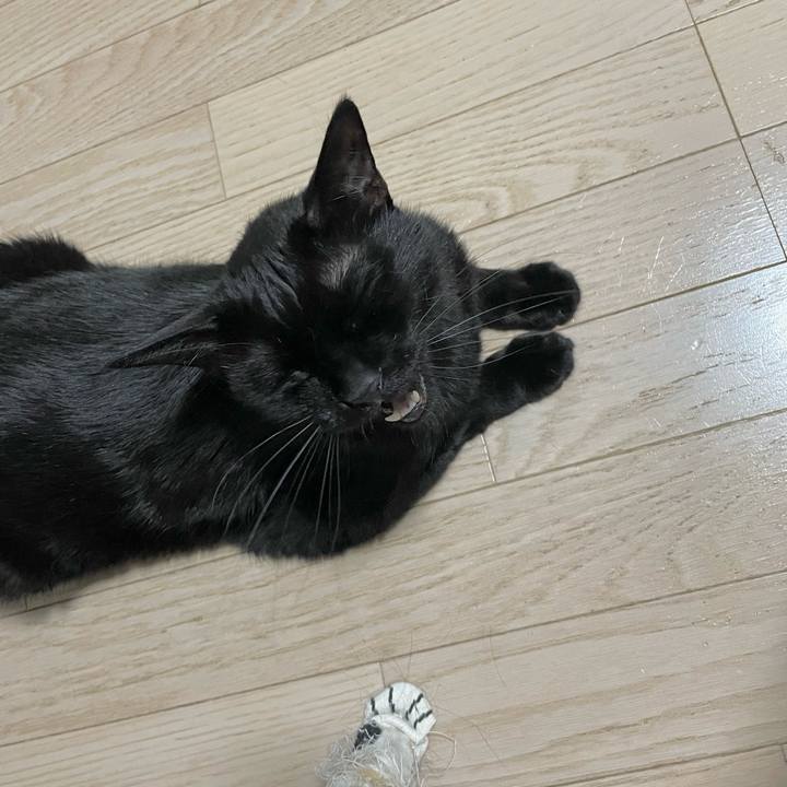 6ae7d6f7 cd74 4073 91f4 fbbfe0c64540 1717073026632