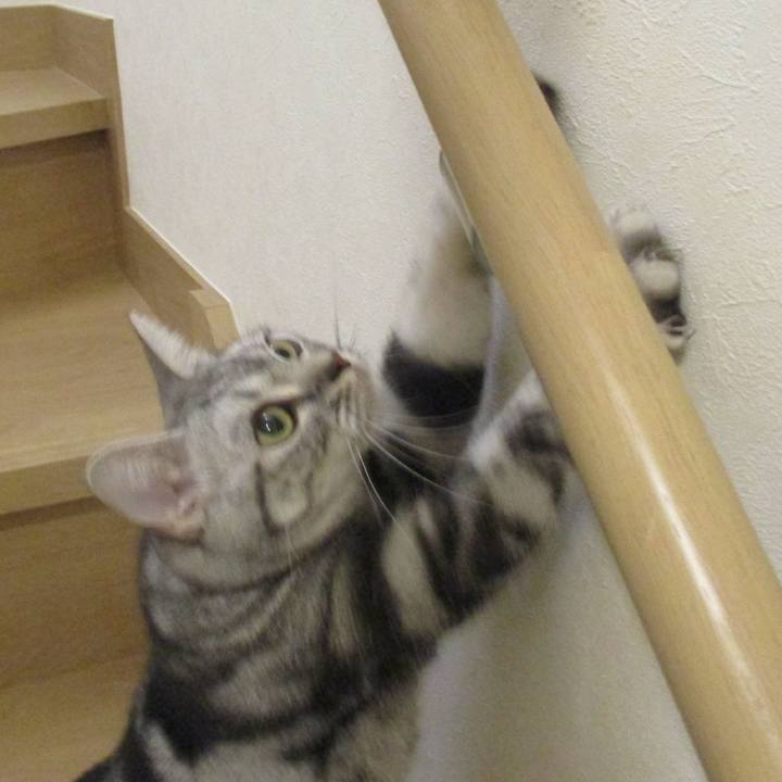 6ae7dfe0 733e 4a93 82ec e6f70e47106e 1562705952615