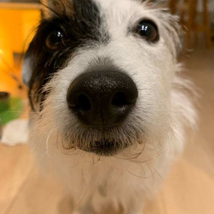 6ae7e3f6 0d5a 4557 975a c5336df071bc 1591527418302