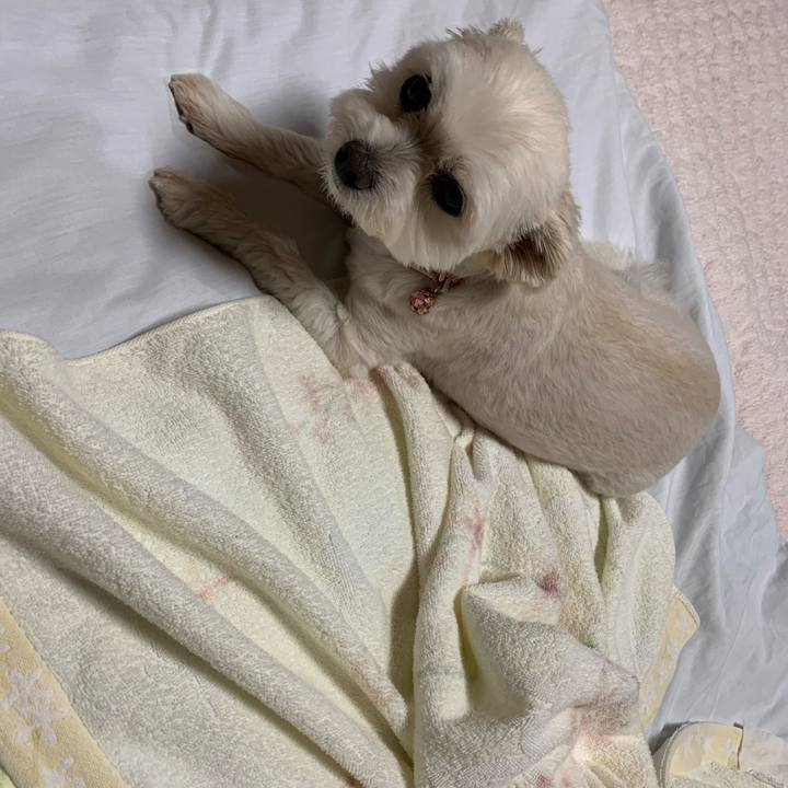 6ae819f5 6100 4504 a8ed e5c2d2fa5d32 1622979330824