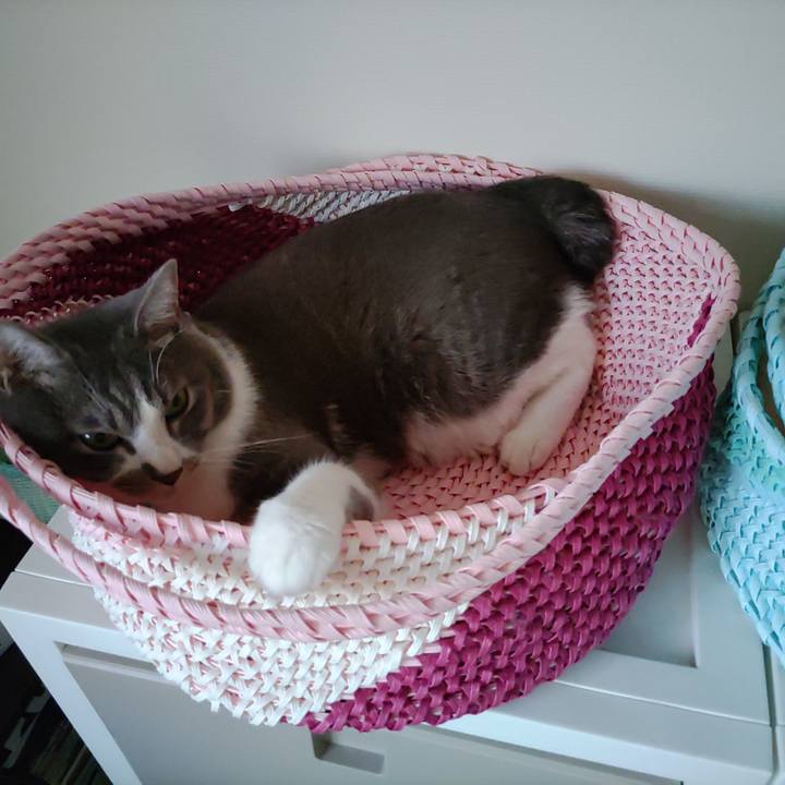 6ae84cc5 5125 4890 a8ce dad312dd9f89 1658440026730