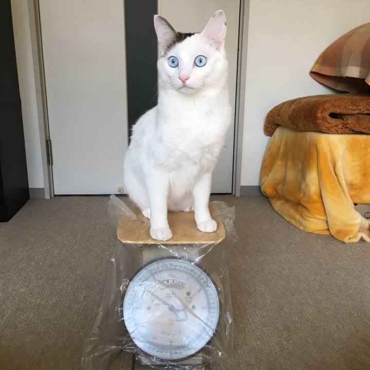 6ae85d2f 3fbd 48f1 840b d85c440a2976 1518316901914