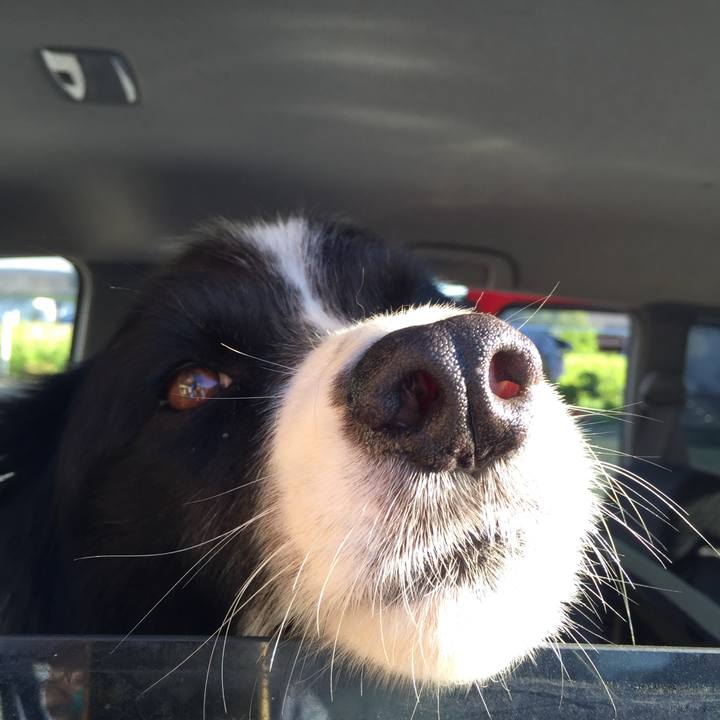 6ae88ed3 f1d4 446e 9446 ab607b049d78 1535238358739