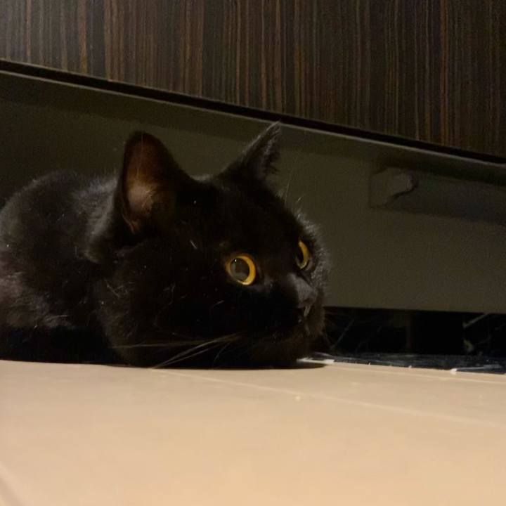 6ae895b5 bcd5 4162 91df ace7916b0810 1728386789314