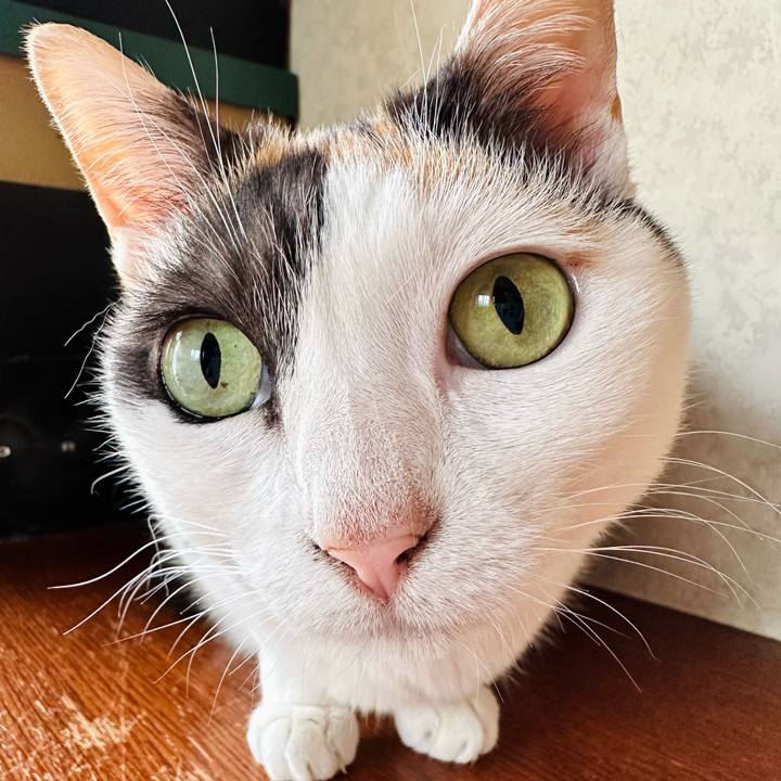 6ae8a005 e778 495b 900f 71018bd540ee 1686014719370