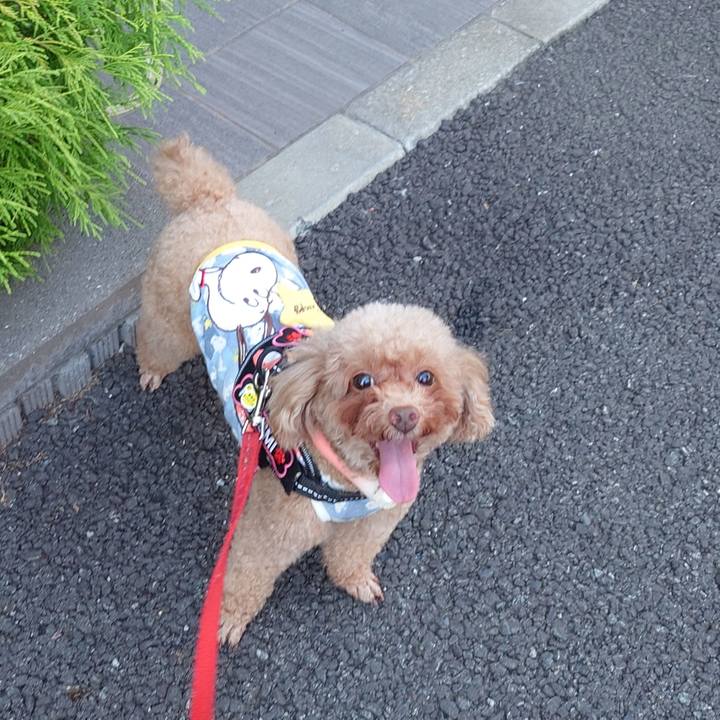 6ae8c114 91bb 4b6a 8153 5e910cbc8066 1754817265419