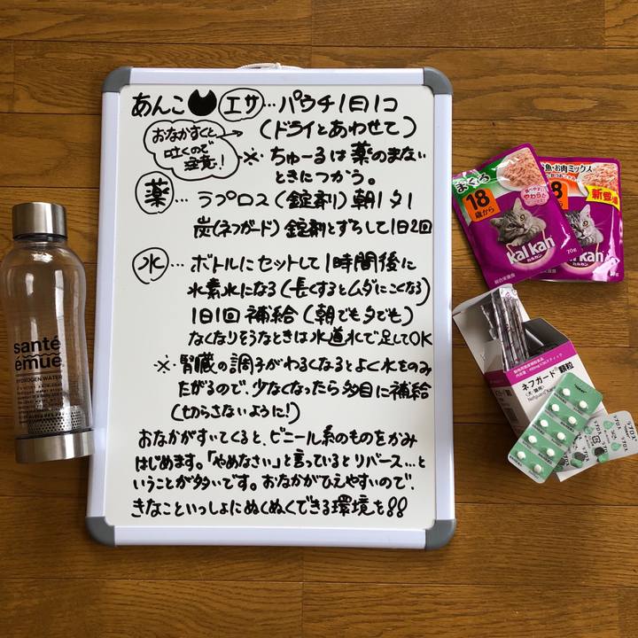 6ae8c948 26b4 4506 8eb1 eb3ab20193d0 1589177528323