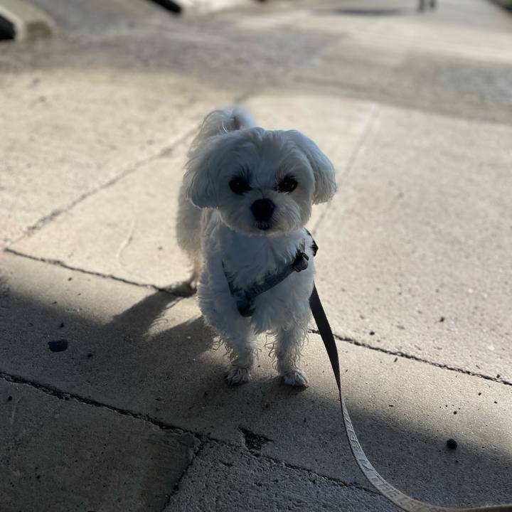 6ae8eca2 e616 4485 ab11 5b1ebacf4e2e 1776306111612