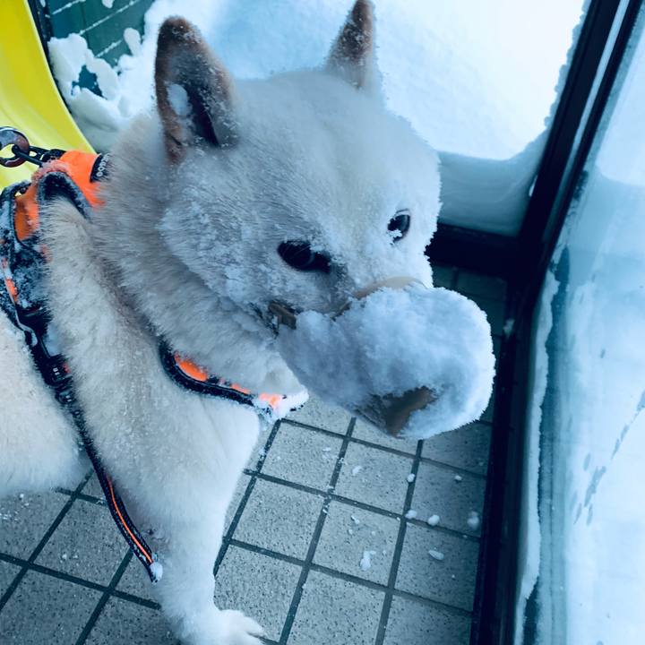 6ae8fb49 7dc7 452d 961f ef28d78c28d9 1672699586324