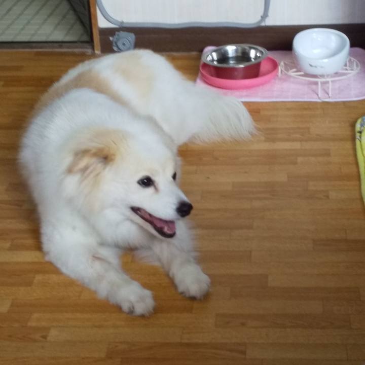 6ae90881 bec7 46fa a26b 70d644c50b68 1565145459385