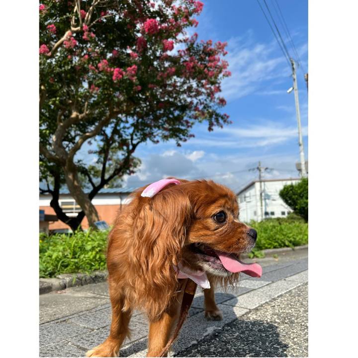 6ae91940 1fd0 4da6 a327 9bdec1cae2ea 1661558942676