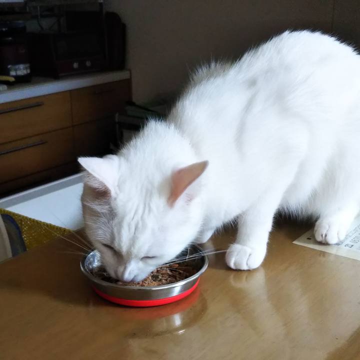 6ae936ce 7208 44cf 8c75 a06c9766a91b 1626931689902