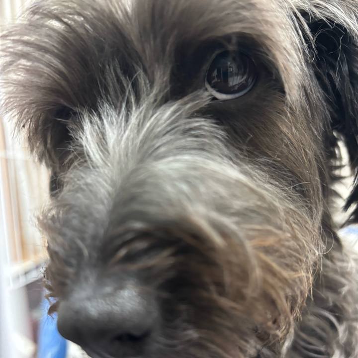 6ae93ad2 58cb 4421 9bbd 5000bf3b5922 1755168047082